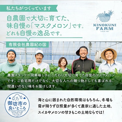 農園自慢の『マスクメロン』特大玉×2玉