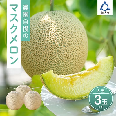 農園自慢の『マスクメロン』大玉×3玉