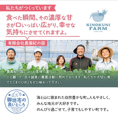 自農園産　和歌山オリジナルいちご『完熟まりひめ』大粒2パック