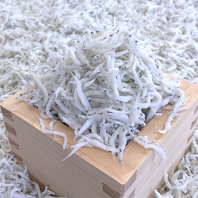 釜あげしらす 化粧箱入り900g