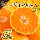 希少!天田みかん(紀州和歌山)A級5kg