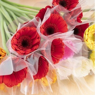 農園直送 ガーベラ切り花100本 お礼品詳細 ふるさと納税なら さとふる