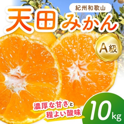 天田みかん(紀州和歌山)　A級10kg