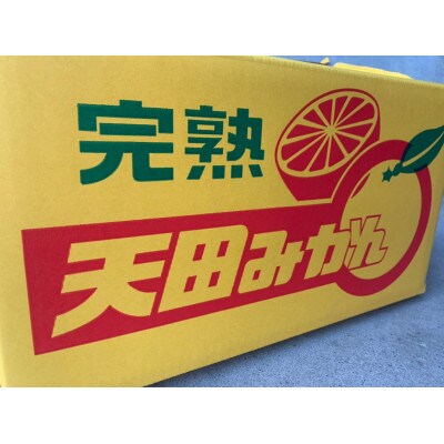 天田みかん(紀州和歌山) 家庭用 10kg