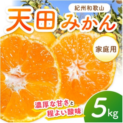 天田みかん(紀州和歌山)　家庭用　5kg