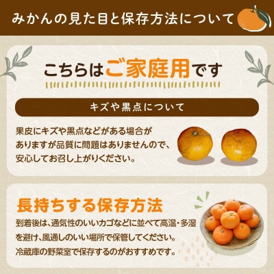 天田みかん(紀州和歌山)　家庭用　5kg