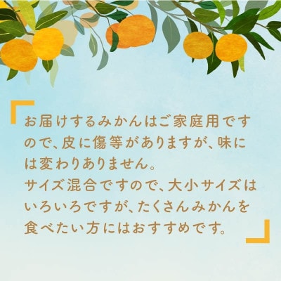 天田みかん(紀州和歌山)　家庭用　5kg