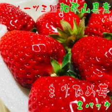【和歌山ブランド苺】完熟まりひめいちご　2パック【2025年1月下旬～3月下旬発送予定】(A-02)