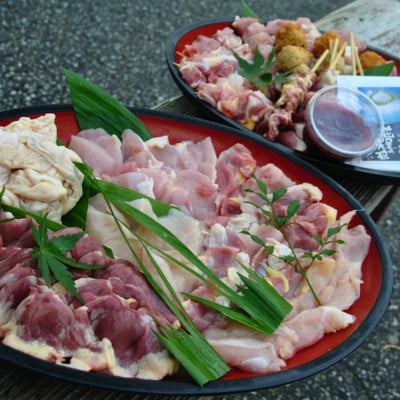 焼鳥20本&かしわ焼肉800gセット