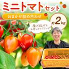 ミニトマトセット(おまかせ詰め合わせ)約2キロ