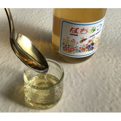 自然派　はちみつ梅干し(うす塩味)500g