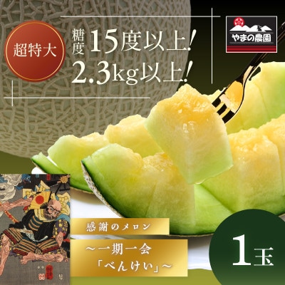 やまの農園　感謝のメロン～一期一会「べんけい」約2.3キロ以上　1玉