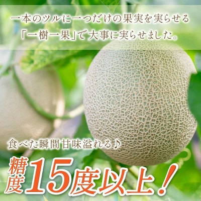 やまの農園　感謝のメロン～一期一会「うしわか」約2キロ以上　1玉
