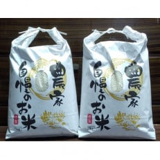 【農家直送】和歌山県御坊市産あきたこまち精米10kg〔5kg&times;2袋〕(未検査米)