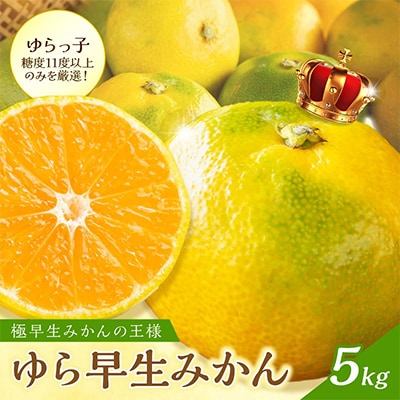 御坊市・日高川町・由良町産　ゆら早生みかん「ゆらっ子」5kg