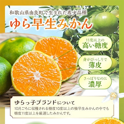 御坊市・日高川町・由良町産　ゆら早生みかん「ゆらっ子」5kg