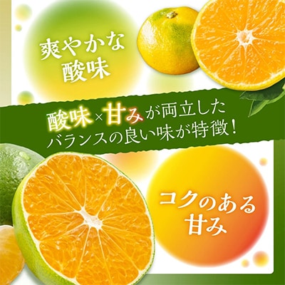 御坊市・日高川町・由良町産　ゆら早生みかん「ゆらっ子」5kg