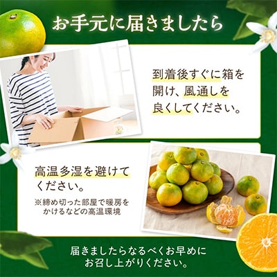 御坊市・日高川町・由良町産　ゆら早生みかん「ゆらっ子」5kg