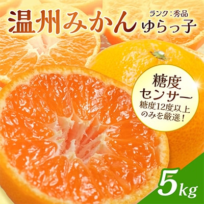 御坊市・日高川町・由良町産　温州みかん「ゆらっ子」5kg