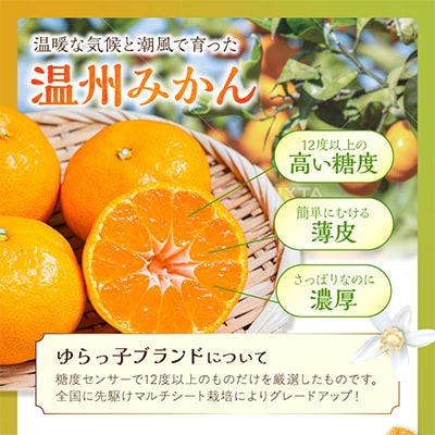 御坊市・日高川町・由良町産　温州みかん「ゆらっ子」5kg