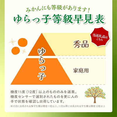 御坊市・日高川町・由良町産　温州みかん「ゆらっ子」5kg