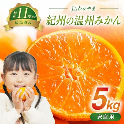 御坊・日高地方産　早生みかん(家庭用)5kg