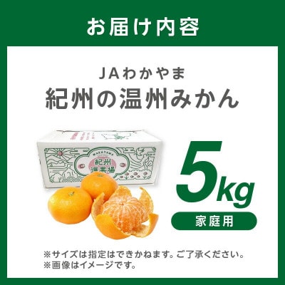 御坊・日高地方産　早生みかん(家庭用)5kg