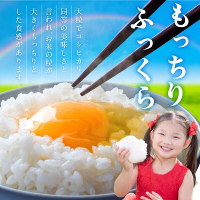 御坊・日高地方産　粒より米　にじのきらめき　5kg