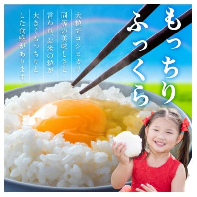 御坊・日高地方産　粒より米　にじのきらめき　5kg