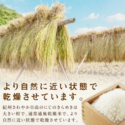 御坊・日高地方産　粒より米　にじのきらめき　5kg