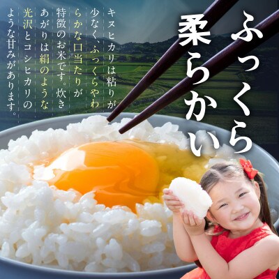 御坊・日高地方産　粒より米　きぬひかり　5kg