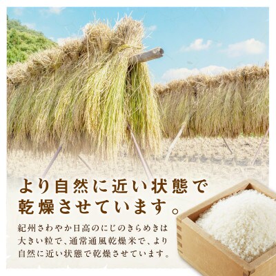 御坊・日高地方産　粒より米　きぬひかり　5kg