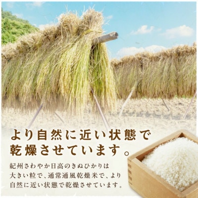 御坊・日高地方産　粒より米　きぬひかり　5kg