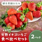 農園直送!完熟イチゴ 　2種類食べ比べセット　2パック
