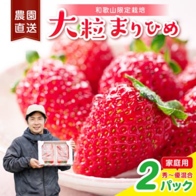 大粒の贅沢!「まりひめ」を農家直送で【家庭用】2パック約600グラム