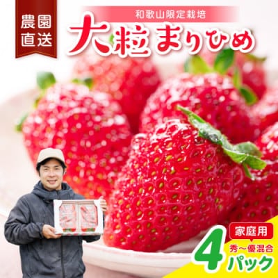 大粒の贅沢!「まりひめ」を農家直送で【家庭用】4パック約1,200グラム