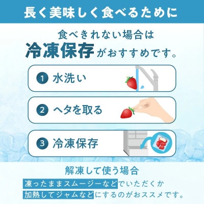 まりひめ4パック【贈答用】約1,200グラム