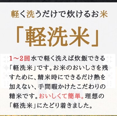 【軽く洗うだけでOK】【令和6年産米】北海道産ゆめぴりか 5kg
