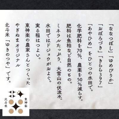 【軽く洗うだけでOK】令和6年産北海道産ゆきのつや　10kg(5kg×2袋)