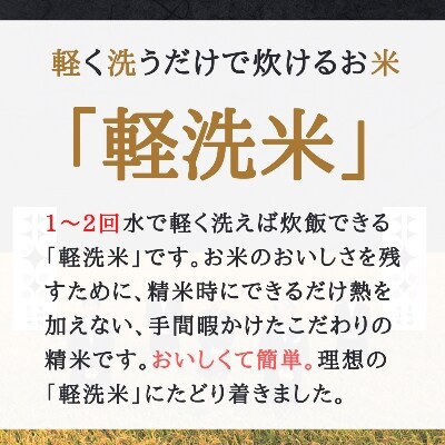 【軽く洗うだけでOK】【令和6年産米】北海道産ゆめぴりか 10kg(5kg×2袋)