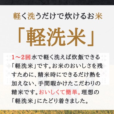 【軽く洗うだけでOK】令和6年産北海道産ななつぼし 10kg (5kg×2袋)