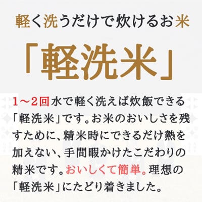 【毎月定期便】【軽く洗うだけでOK】ゆめぴりか　5kg全12回