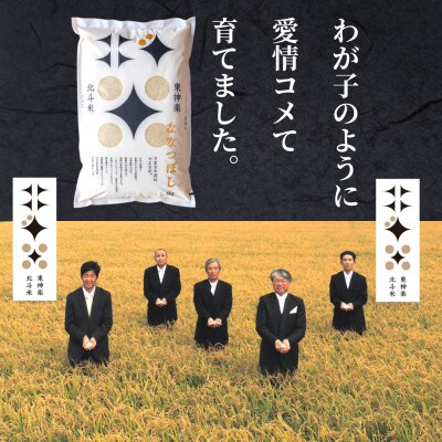 【毎月定期便】【軽く洗うだけでOK】ななつぼし10kg(5kg×2袋)全12回