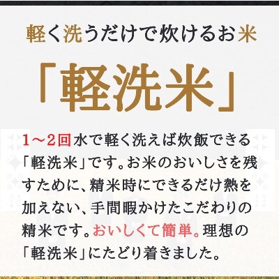 2022年8月発送開始『定期便』【軽く洗うだけでOK】北海道産ゆめぴりか 5kg 全8回