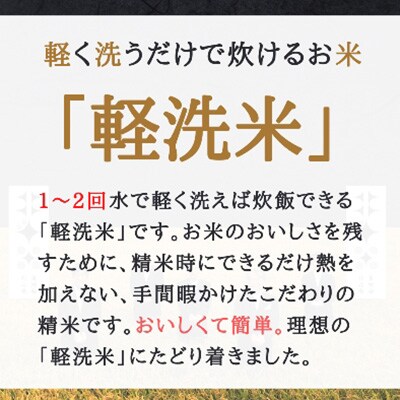 2023年3月発送開始『定期便』【軽く洗うだけでOK】ゆきのつや10kg(5kg×2袋)全4回