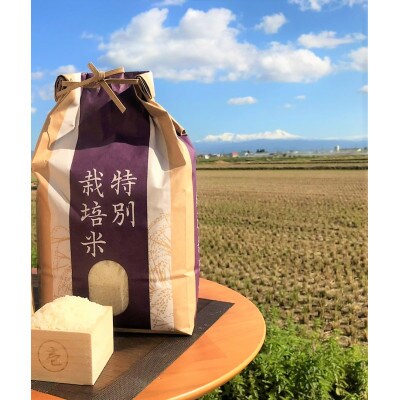 栽培期間中、農薬不使用　縄文のヒカリゆめぴりか(玄米)5キロ
