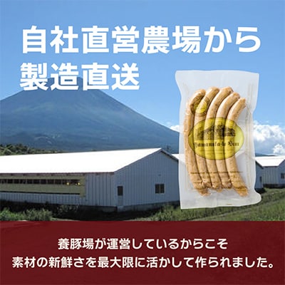 【山中湖ハム 無添加ソーセージ】防腐剤・保存料不使用　20本セット/0.8kg