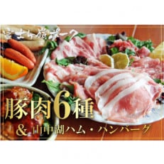 【ふるさと納税用 増量お礼品】『豚肉6種&amp;ハンバーグ・ソーセージセット』 合計6kg