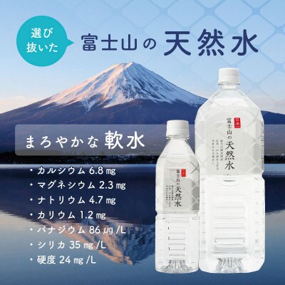 【毎月定期便】富士山の天然水500ml×48本全6回