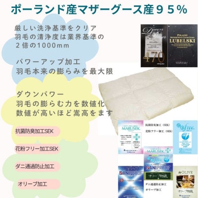 <ポーランド産マザーグース95%>羽毛肌布団 シングル ダウンパワー470